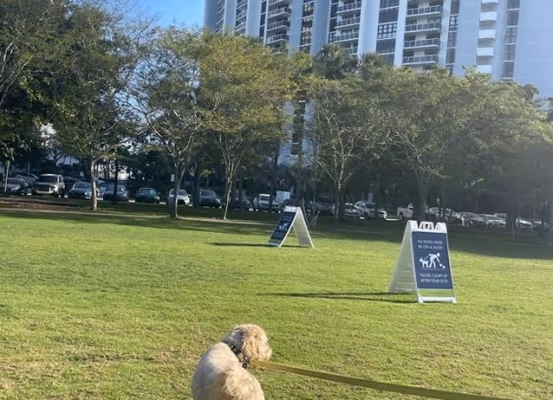Belle Isle Bark Park